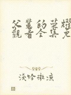 父辈的荣耀在线观看全集免费播放