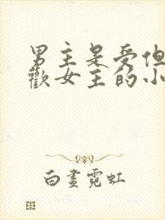 男主是受但是喜欢女主的小说