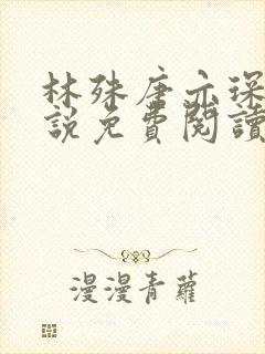 林殊唐亦琛的小说免费阅读