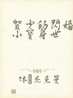 贺少的闪婚暖妻小宝身世