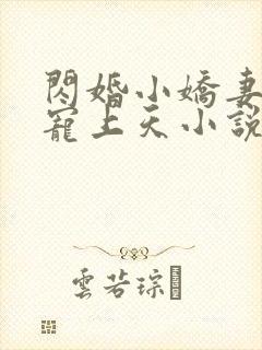 闪婚小娇妻大叔宠上天小说全文免费阅读封面