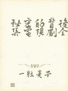 秘密的背后48集电视剧全部免费观看