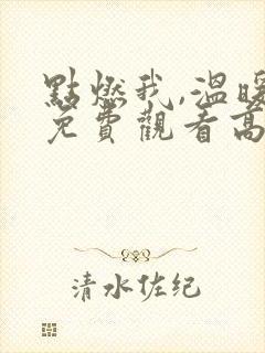 点燃我,温暖你免费观看高清