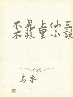 不见上仙三百年木苏里小说完结版