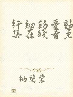 纤细的爱动漫全集在线看免费观看