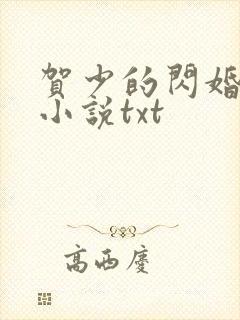 贺少的闪婚暖妻小说txt封面