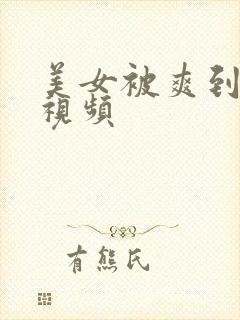 美女被爽到高潮视频