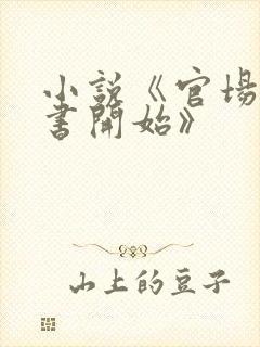 小说《官场从秘书开始》