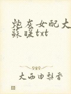 炮灰女配大逆袭苏暖txt