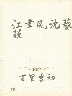 江聿风沈藜笙小说