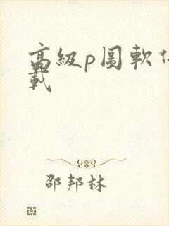 高级p图软件下载