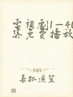 电视剧1—40集免费播放