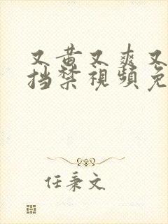 又黄又爽又无遮挡禁视频免费观看