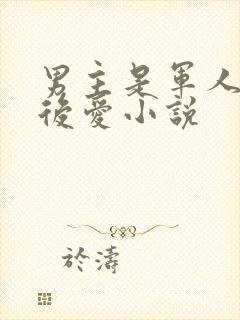 男主是军人先婚后爱小说