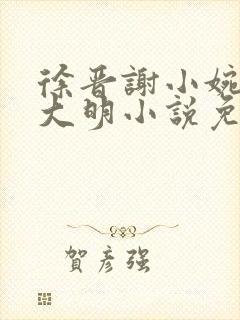 徐晋谢小婉穿越大明小说免费阅读