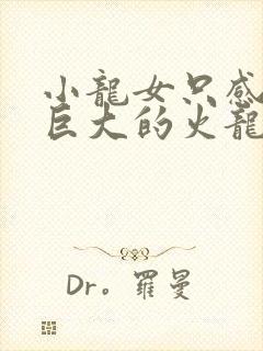 小龙女只感觉那巨大的火龙枪