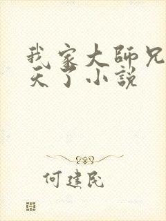 我家大师兄太逆天了小说