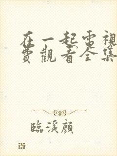 在一起电视剧免费观看全集完整版