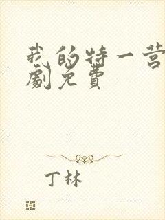 我的特一营电视剧免费