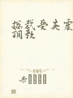 总裁受夹震蛋h调教封面