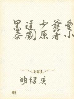 黑道少爷爱上我泰剧原著小说封面