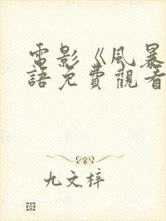 电影《风暴》国语免费观看