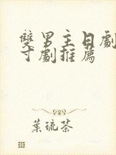 双男主日剧大尺寸剧推荐