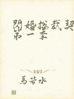 闪婚总裁契约妻第一季