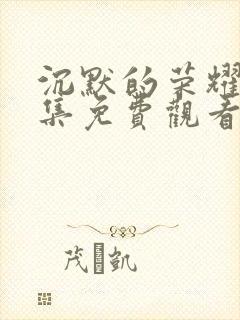 沉默的荣耀24集免费观看