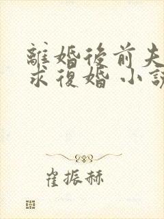 离婚后前夫哭着求复婚 小说完整