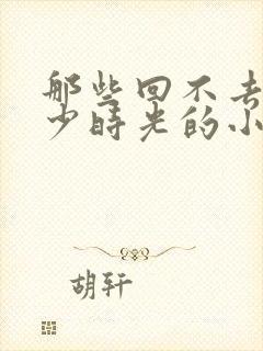 那些回不去的年少时光的小说封面