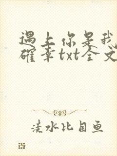 遇上你是我的小确幸txt全文下载