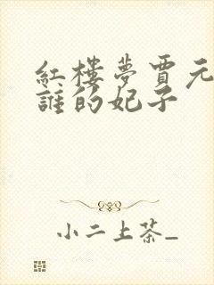 红楼梦贾元春是谁的妃子封面