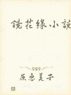 镜花缘小说封面