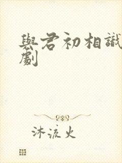 与君初相识 短剧