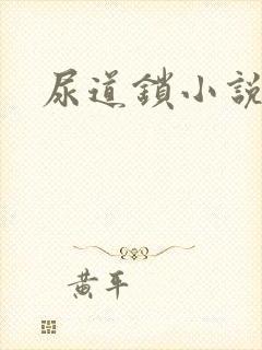 尿道锁小说封面