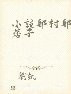 小说那村那人那痞子