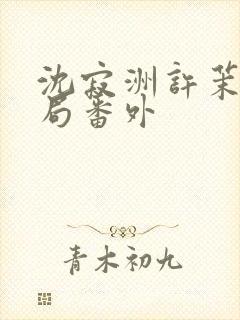 沈寂洲许茉大结局番外