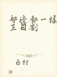 哪边都一样双男主日剧