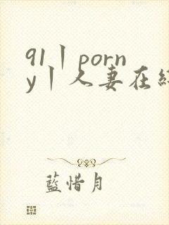 91丨porny丨人妻在线