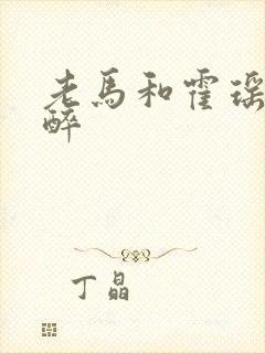 老马和霍瑶瑶喝醉