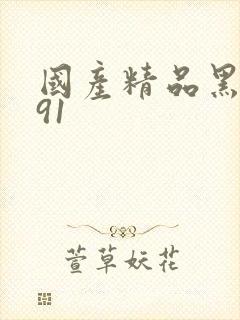 国产精品黑丝袜91