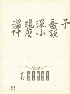 温砚深乔予安是什么小说