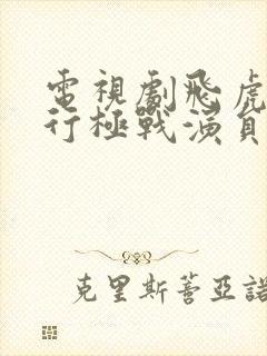 电视剧飞虎之潜行极战演员表