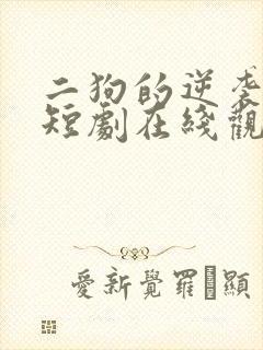 二狗的逆袭人生短剧在线观看