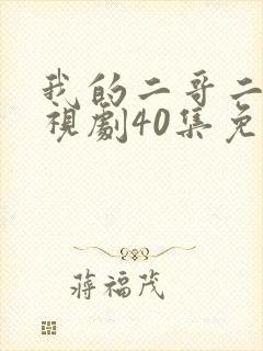 我的二哥二嫂电视剧40集免费观看