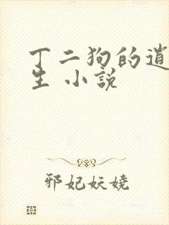 丁二狗的逍遥人生 小说