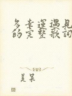 多幸运遇见了你的完整歌词