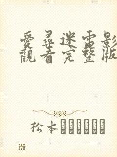 爱寻迷电影在线观看完整版