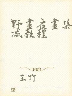 野画夜画集无删减教程